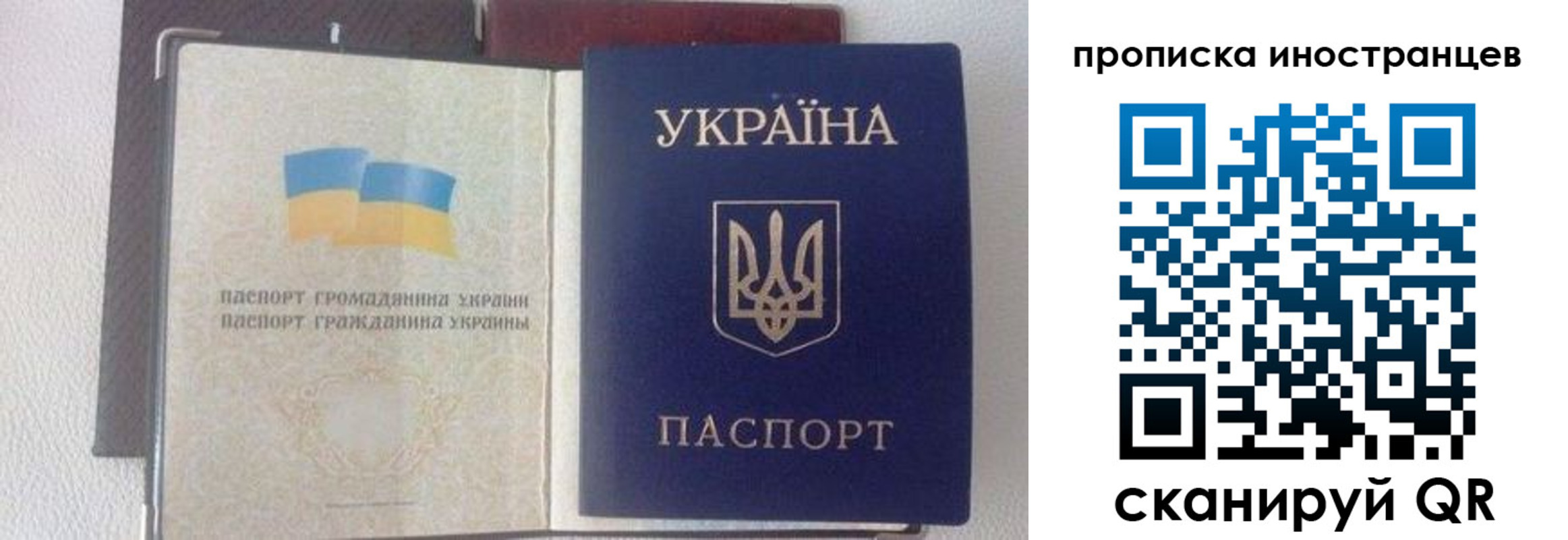 регистрация в Лыткарино